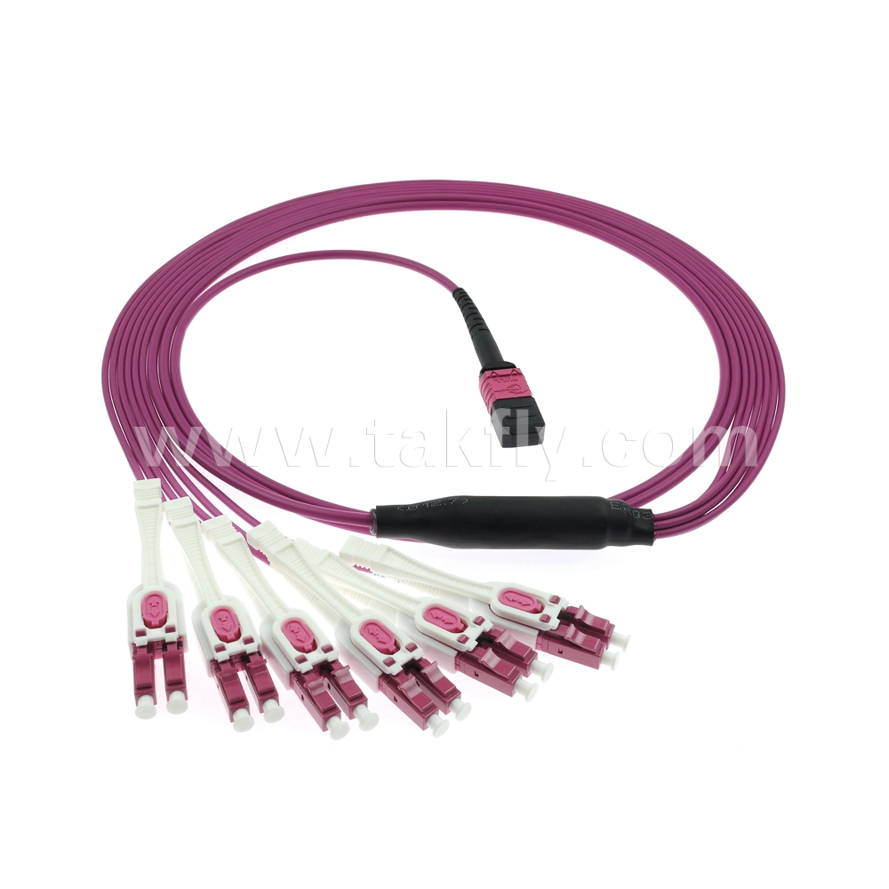 12c Multimode Om4 MPO to LC Uniboot Trunk Cable