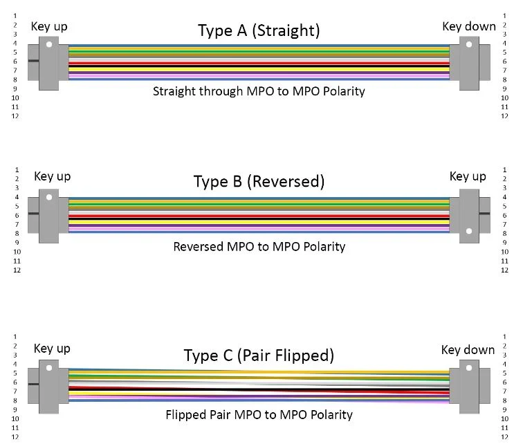 Fiber Optic MPO/MTP Low Loss Patch Cord Om4 Om5 Trunk Cable